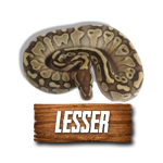 Imagen siguiente del producto