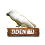 Imagen siguiente del producto