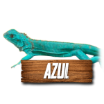 Imagen anterior del producto