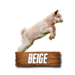 Imagen siguiente del producto