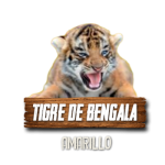 Imagen siguiente del producto