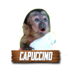 Imagen siguiente del producto