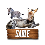 Imagen anterior del producto