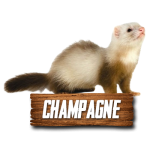 Imagen siguiente del producto