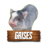 Imagen siguiente del producto