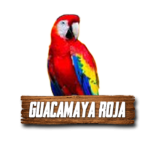 Imagen anterior del producto