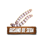Imagen anterior del producto