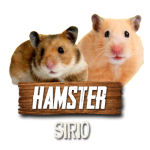 Imagen siguiente del producto