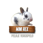 Imagen siguiente del producto