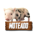 Imagen anterior del producto