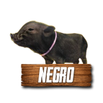 Imagen anterior del producto