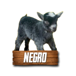 Imagen anterior del producto