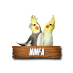 Imagen anterior del producto