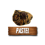 Imagen siguiente del producto