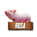 Imagen anterior del producto