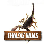 Imagen siguiente del producto