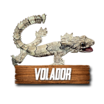 Imagen anterior del producto