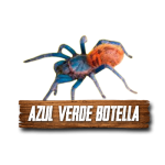 Imagen anterior del producto