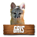 Imagen anterior del producto