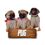 Imagen siguiente del producto