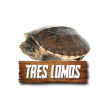 Imagen anterior del producto